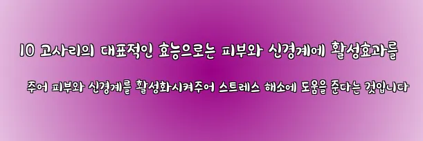  10 고사리의 대표적인 효능으로는 피부와 신경계에 활성효과를 주어 피부와 신경계를 활성화시켜주어 스트레스 해소에 도움을 준다는 것입니다