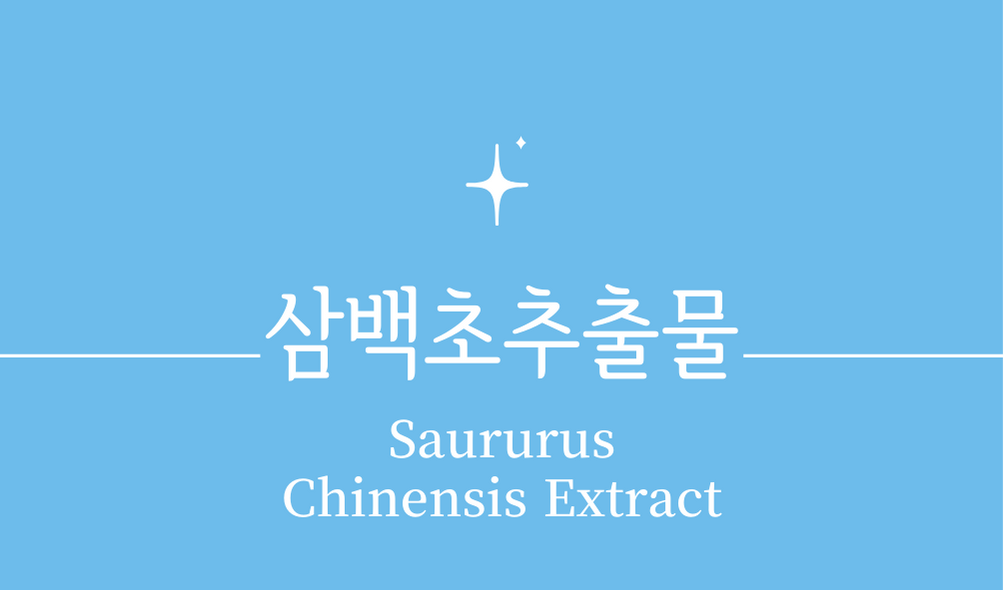 '삼백초추출물(Saururus Chinensis Extract)'