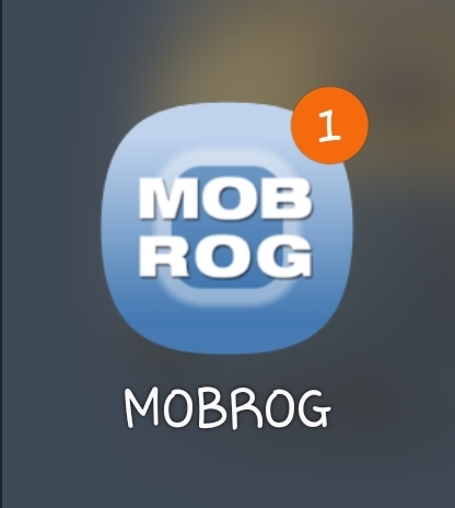  [내 멋대로 부업] 외화벌이 2탄!! MOBROG 설문조사 앱테크. 설문조사로 외화를 벌어보자!! 달러 앱테크