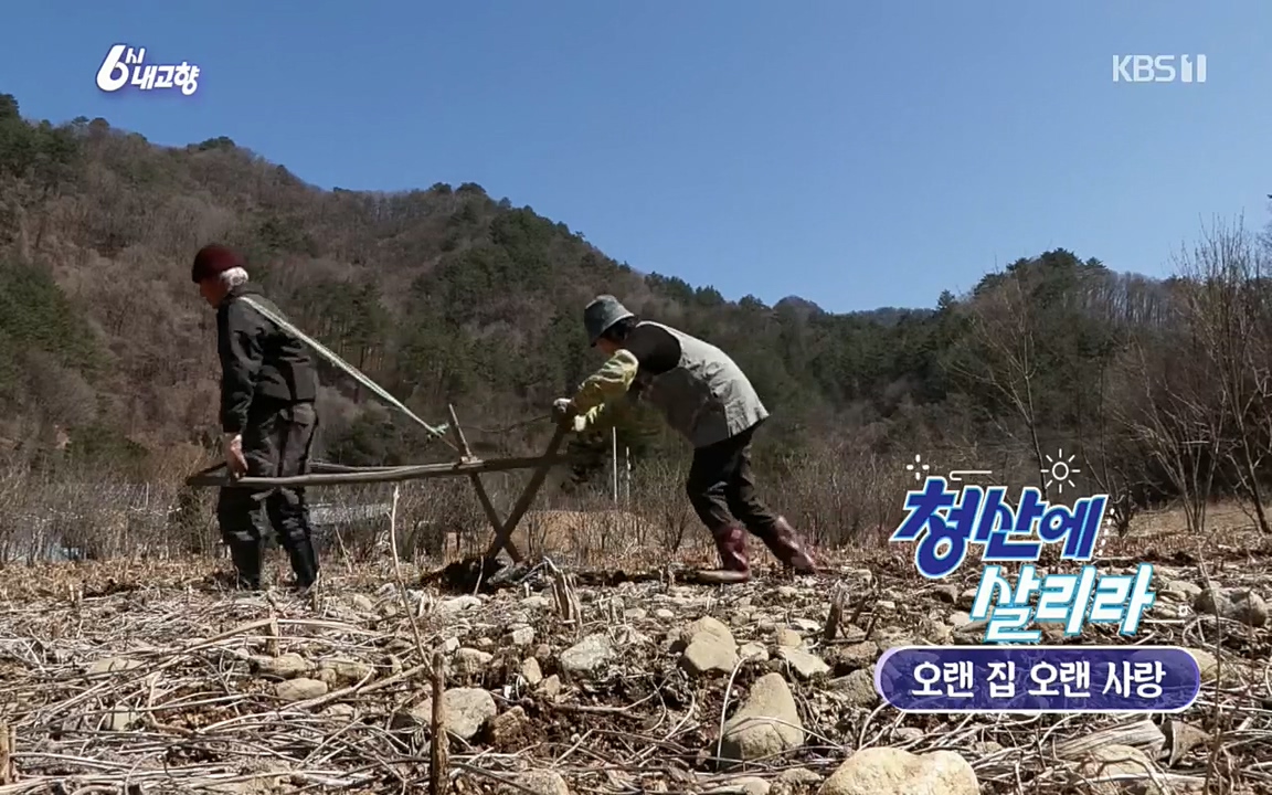 6시 내고향.E7501.220332p.H264-F1RST.mp4_20220402_193439.819.jpg