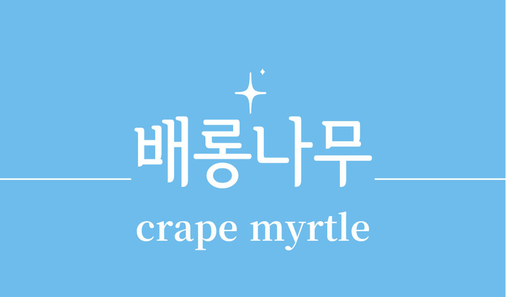 '배롱나무(crape myrtle)'