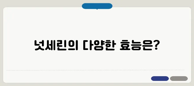 넛세린의 효능과 섭취 방법 건강한 라이프스타일을 위한 선택