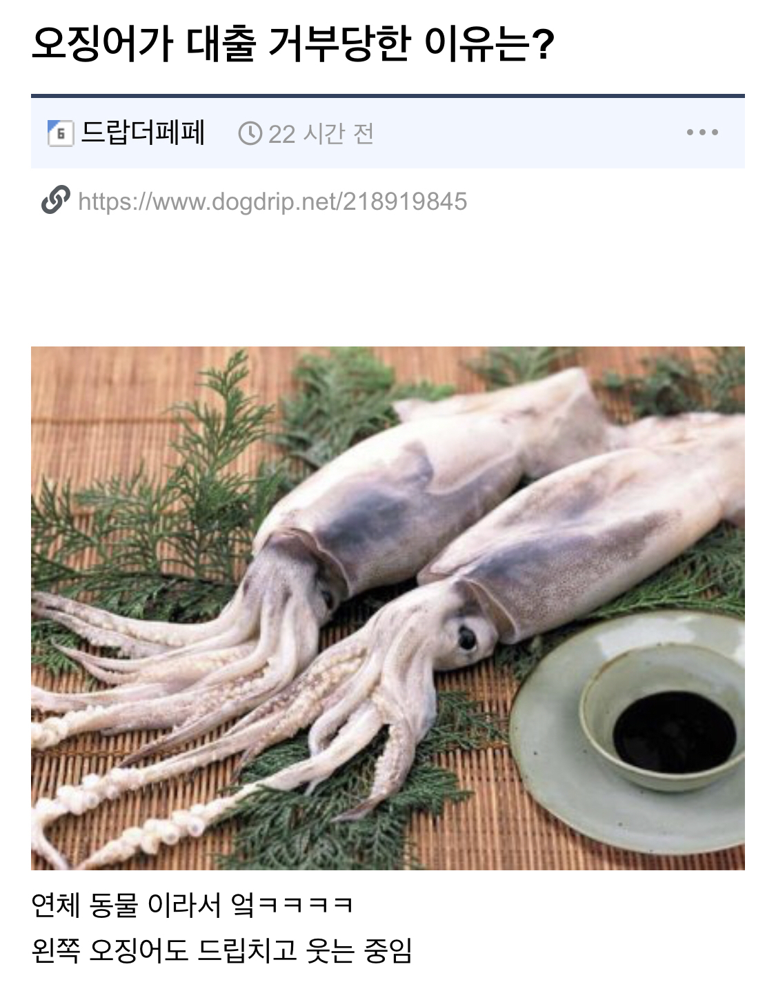   뚜뚜월드