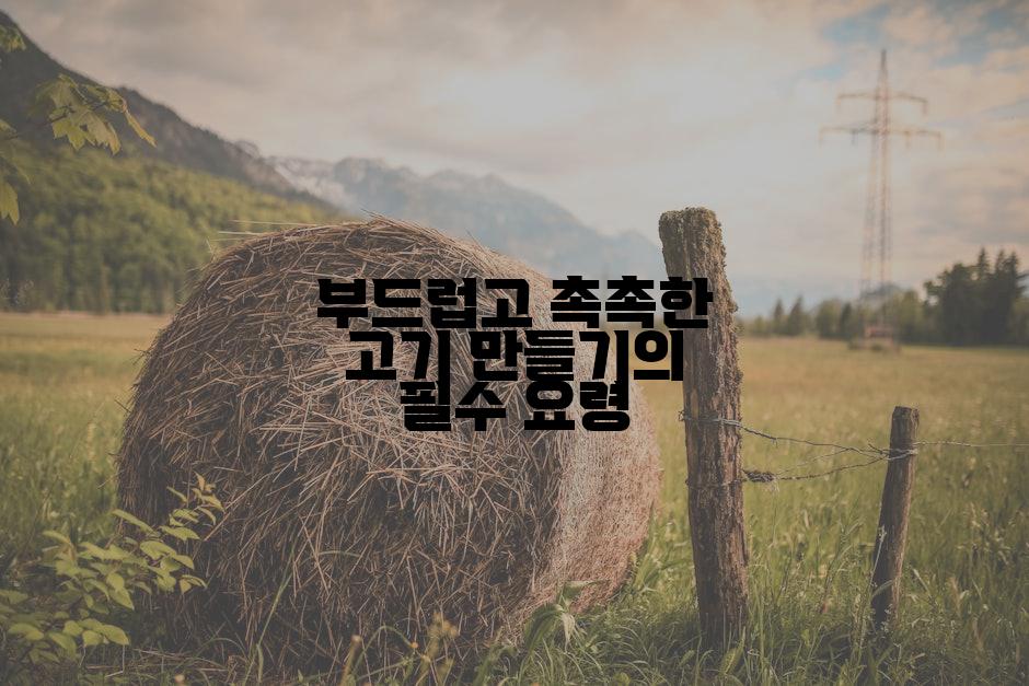 부드럽고 촉촉한 고기 만들기의 필수 요령