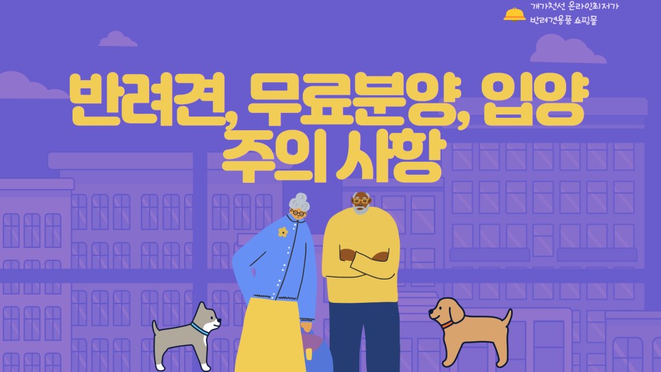 반려견 무료입양 [강아지 반려견 무료분양, 7
