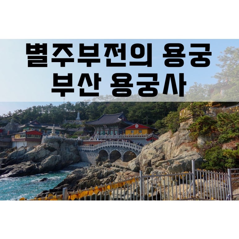 용궁 이미지