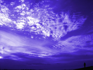 하늘바라기 하는 말(The word of a skyflower )