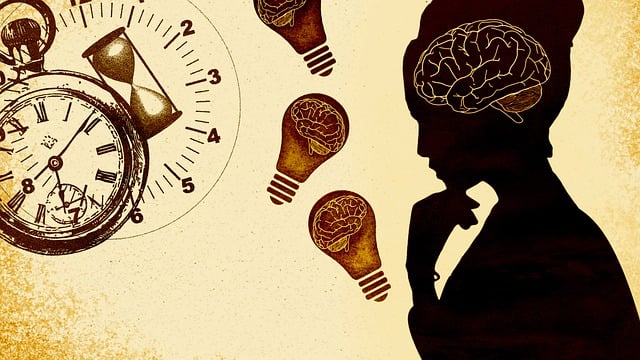 신경전달물질 중 세로토닌 기능 분석
관련사진