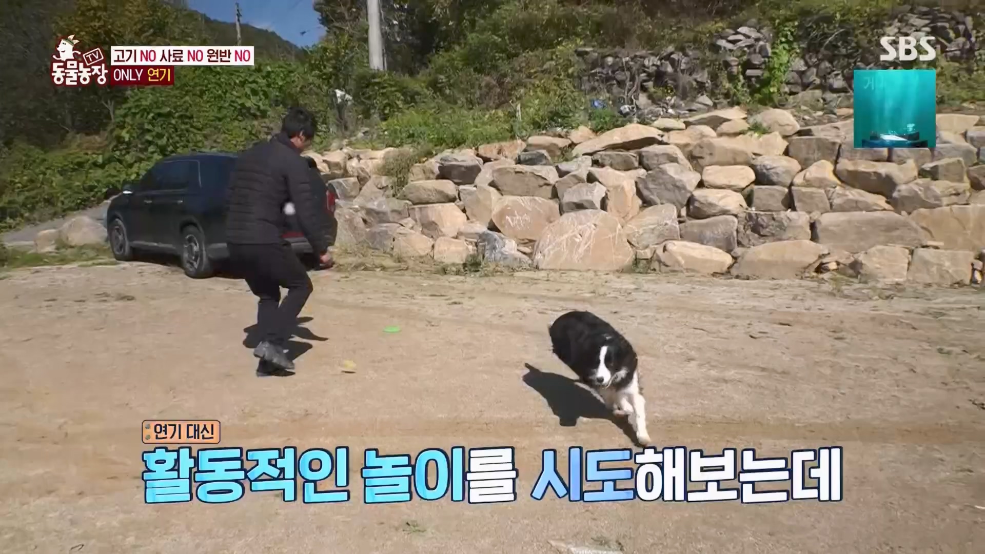 TV 동물농장.E1148.231203p.H264-F1RST.mp4_20231203_165828.487.jpg