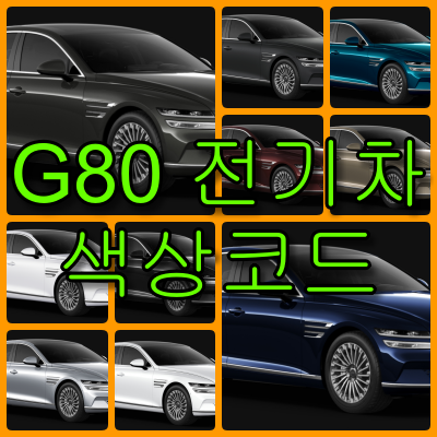 G80 건기차 색상코드