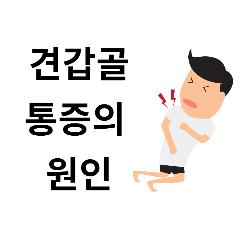  견갑골 통증 왼쪽 오른쪽 통증 원인은?