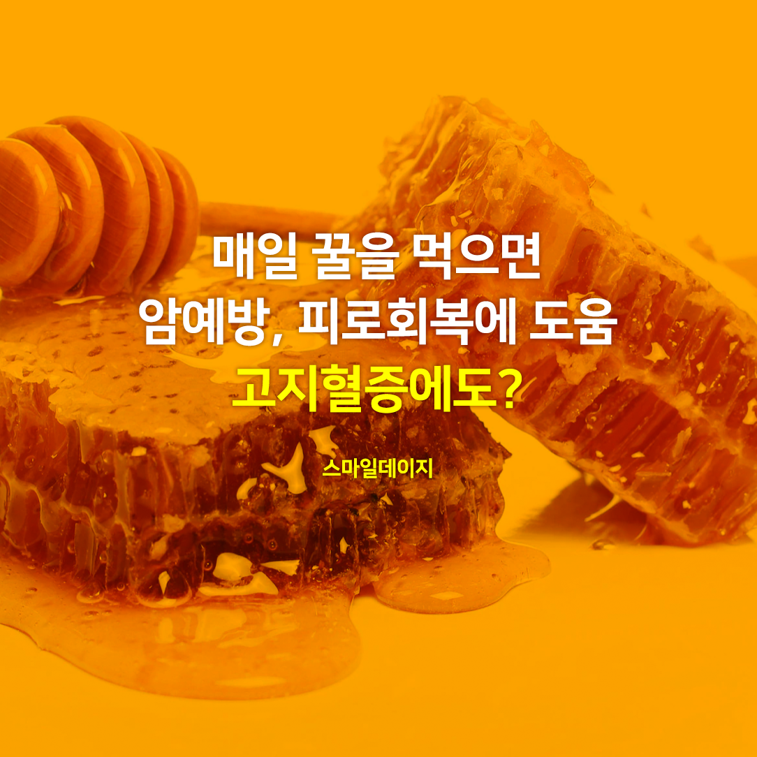  매일 꿀을 먹으면 암 예방 효능에 집중력도 좋아진다