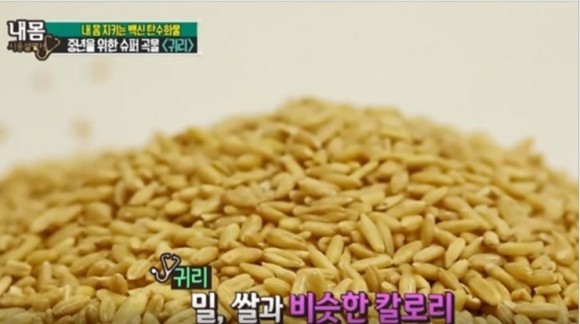 오트밀 가루 먹는법 오트밀 효능 부작용 4
