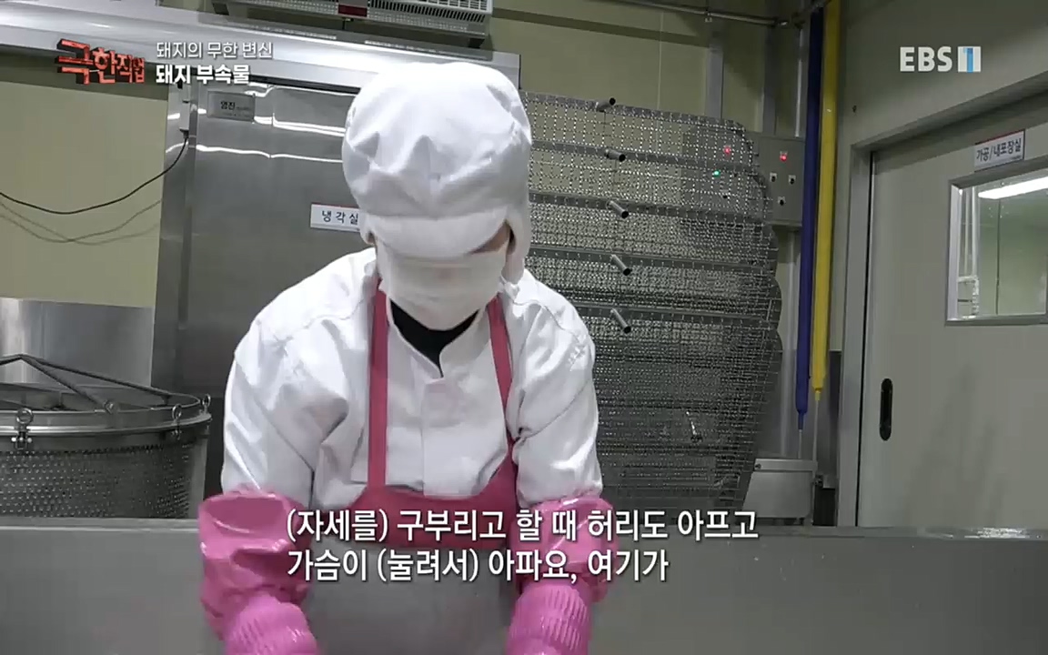 TV - 교육의 중심 EBS돼지의 무한 변신 - 하몬, 소시지, 순대.mp4_20220919_200318.304.jpg