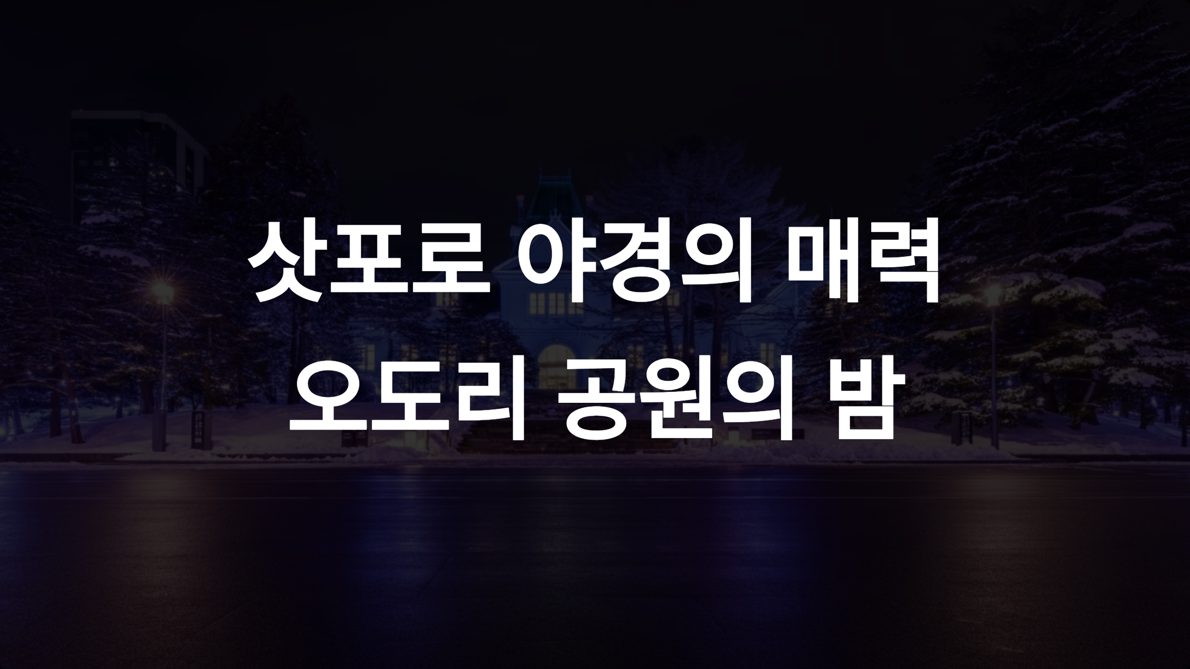 삿포로 야경이 특별한 이유: 오도리 공원 밤 풍경의 진짜 매력