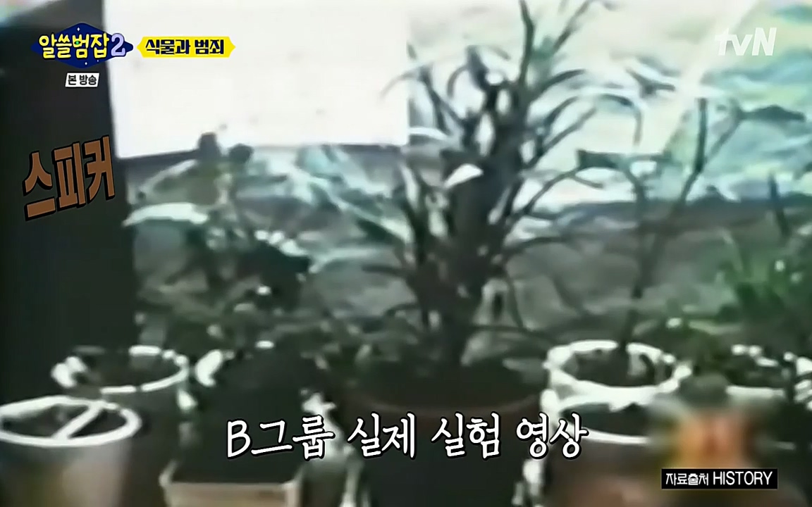알쓸범잡 2.E15.220425p-NEXT.mp4_20220425_174648.532.jpg