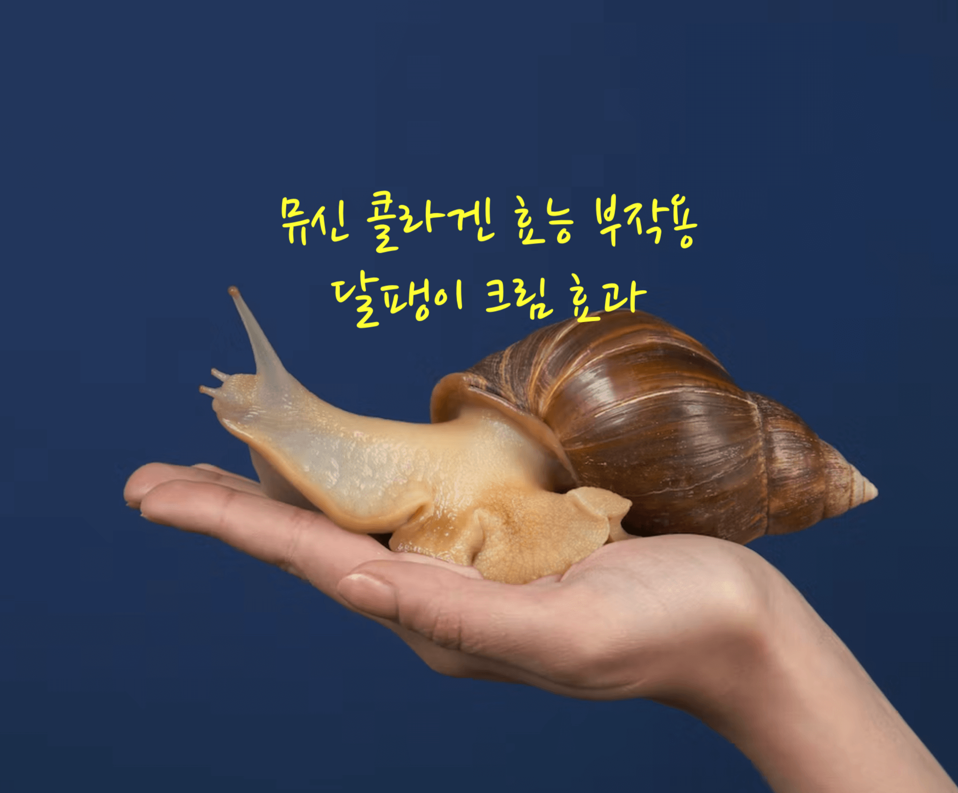 뮤신 콜라겐