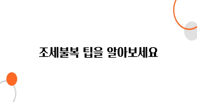 조세불복 심판청구 절차 – 이렇게 하면 유리하다!