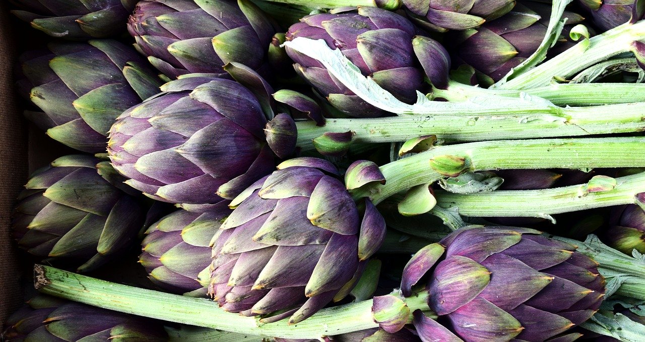  재로우사의 아티초크(artichoke) 복용 후기, 효능 및 부작용 소개