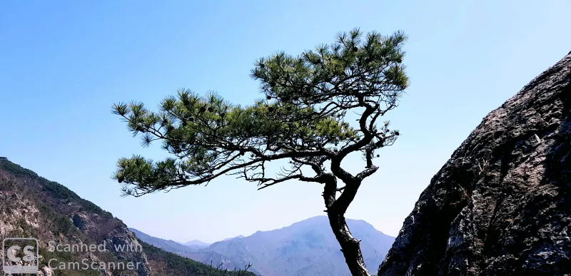 밀양 북암산 문바위 억산