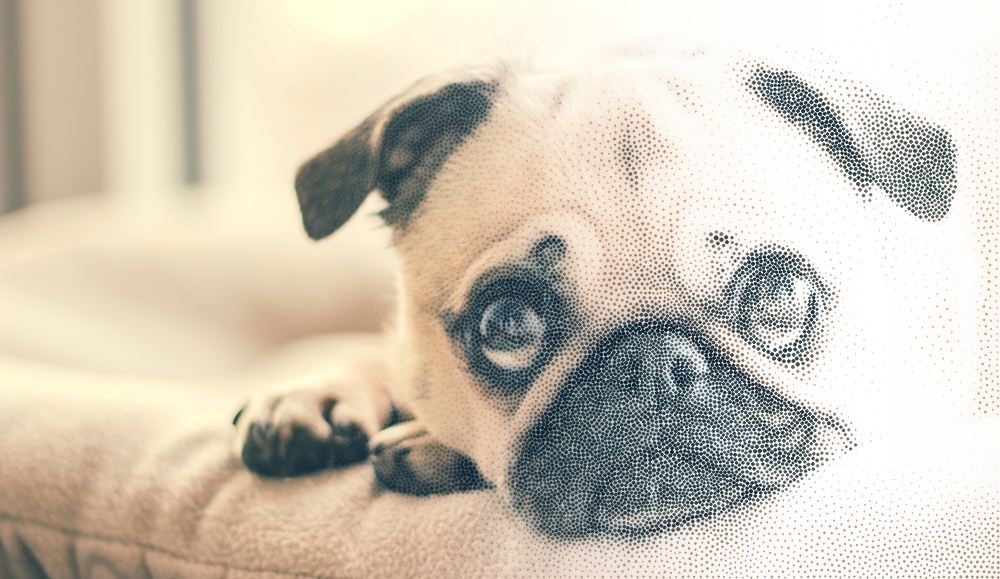 포토스케이프 점묘법 효과