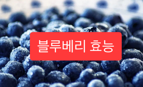  블루베리 효능 9가지