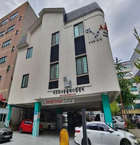 24아프리카동물메디컬센터