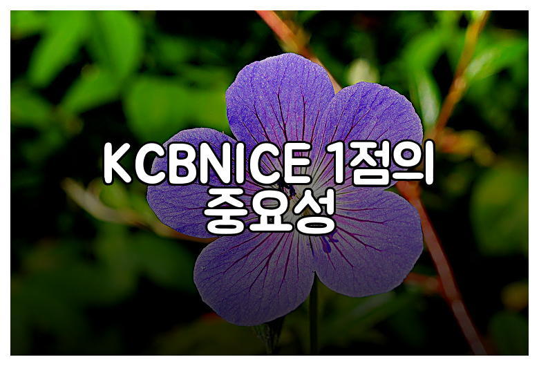KCBNICE 1점의 중요성