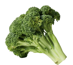 무릎 관절에 좋은 음식