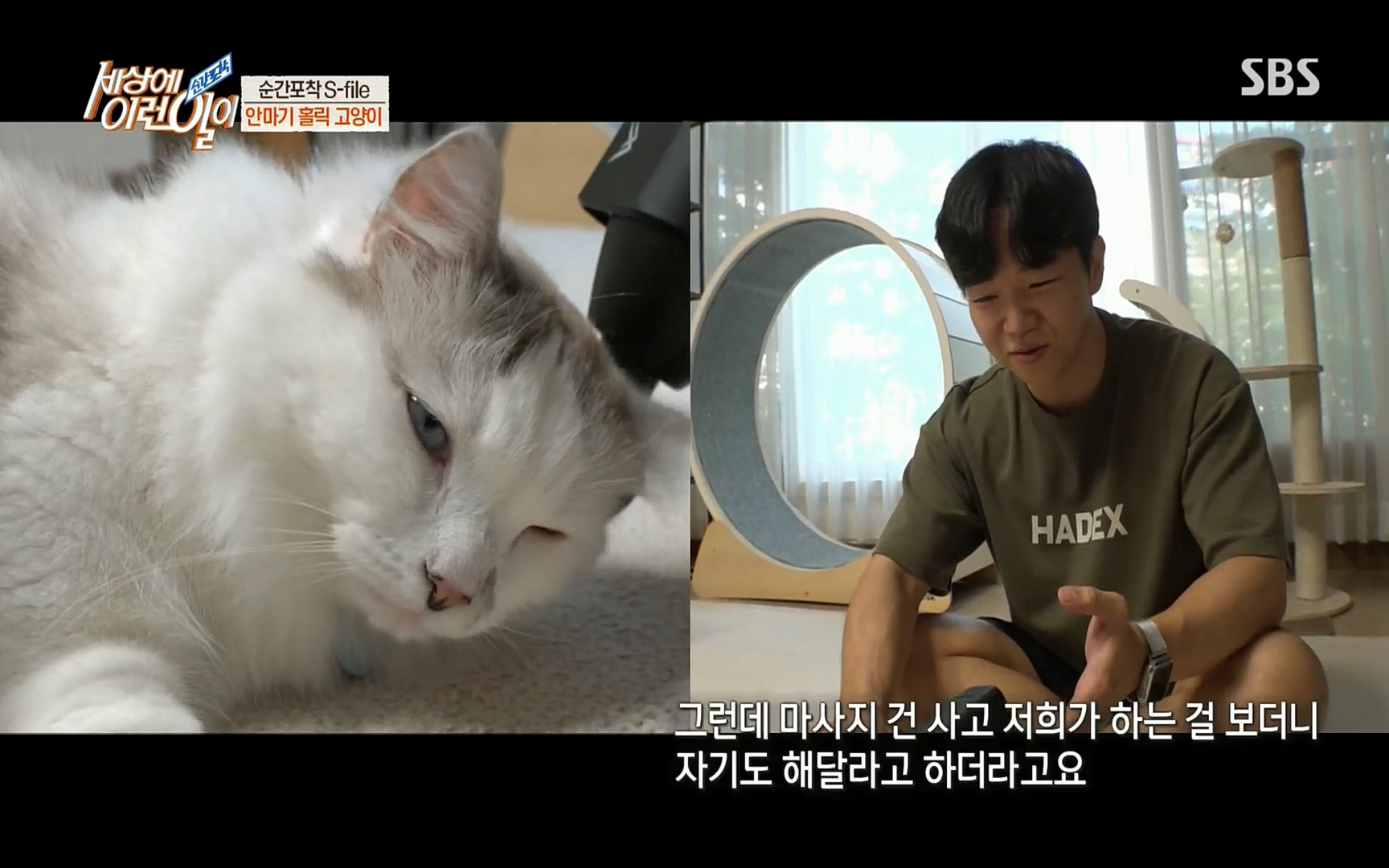 순간포착 세상에 이런일이.E1186.220628p.H264-F1RST.mp4_20220629_201018.839.jpg