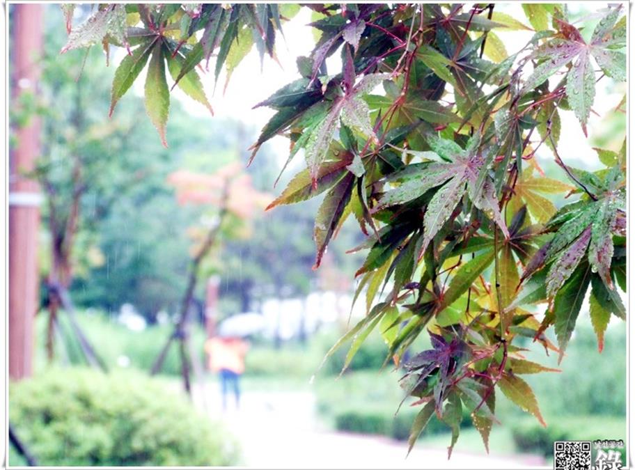 식당26