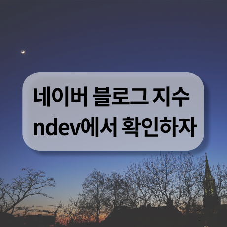  ndev(엔데브) 네이버 블로그 지수 확인하는 방법