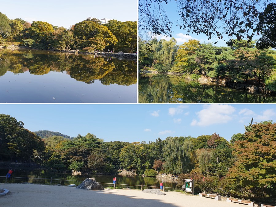 창경궁의-연못-춘당지주변의-모습