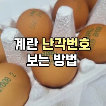 계란에 적힌 번호가 정확히 뭘까 계란 난각번호 4번 제대로 알고 먹고 있나요_14
