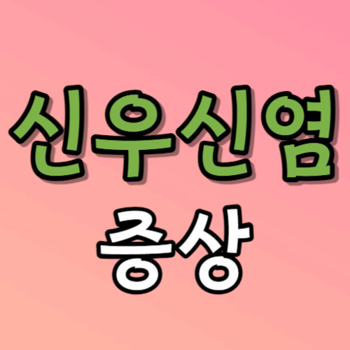 신우신염 증상