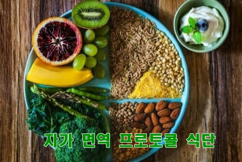  자가면역 프로토콜에 좋은 식단