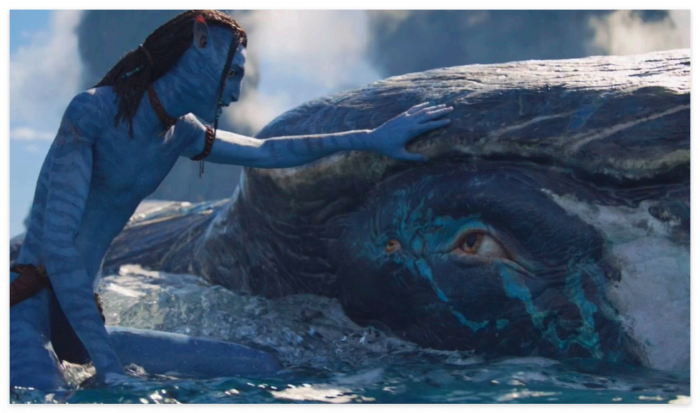아바타-물의길에-등장하는-고래를-닮은-생명체-툴쿤과-교감하는-나비족
