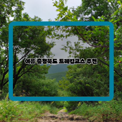  충북 이 여름, 탐방과 체험을 함께! 추천 트레킹코스