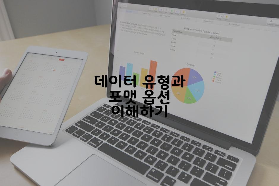 데이터 유형과 포맷 옵션 이해하기