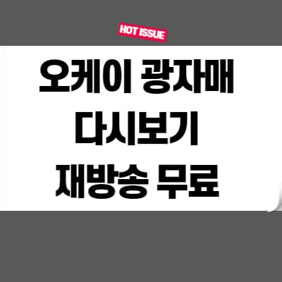 오케이 광자매 다시보기 재방송 무료