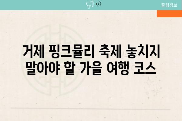 거제 핑크뮬리 축제 놓치지 말아야 할 가을 여행 코스