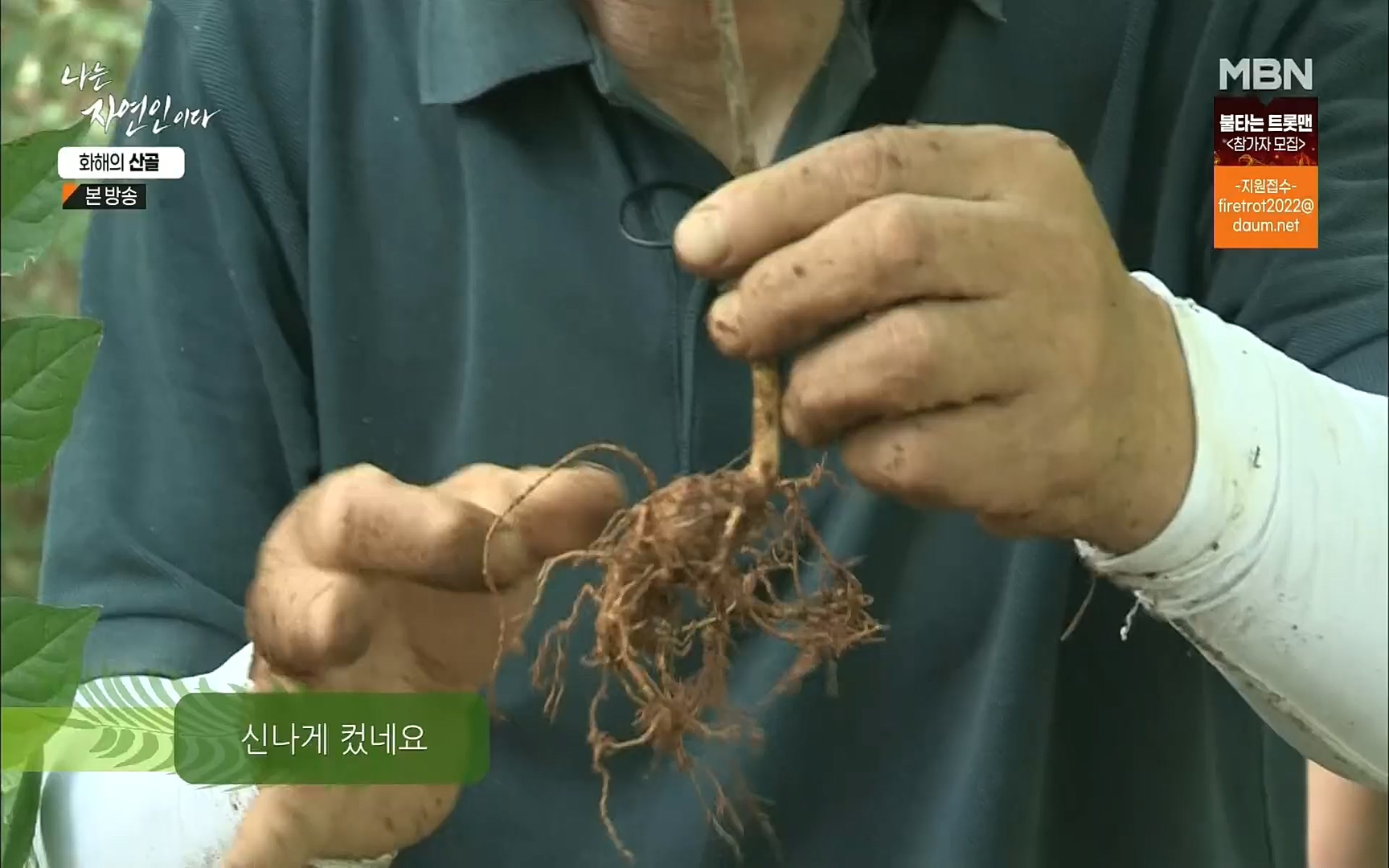 나는 자연인이다.E515.220817p.H264-F1RST.mp4_20220818_201921.061.jpg