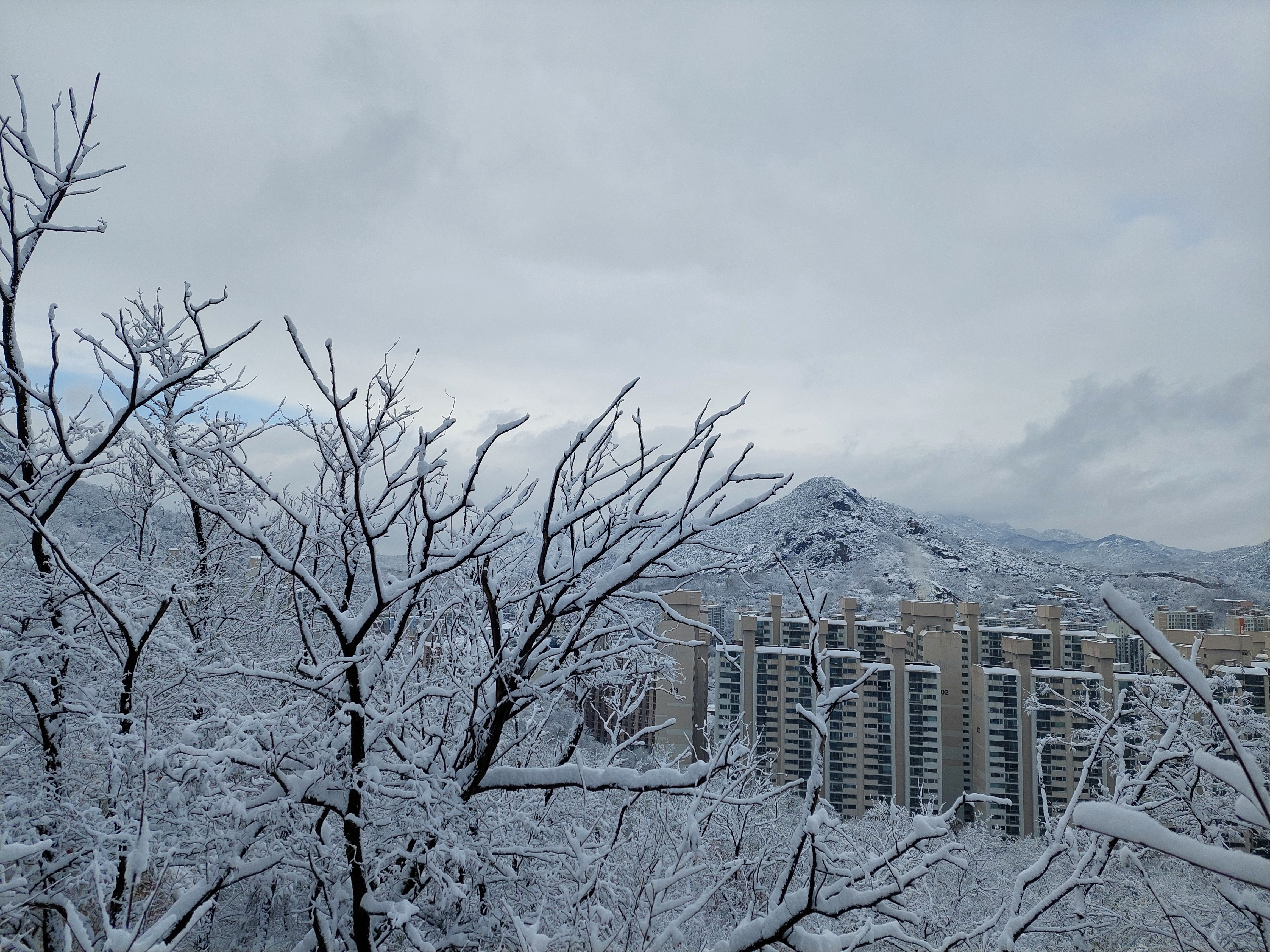 백련산안산