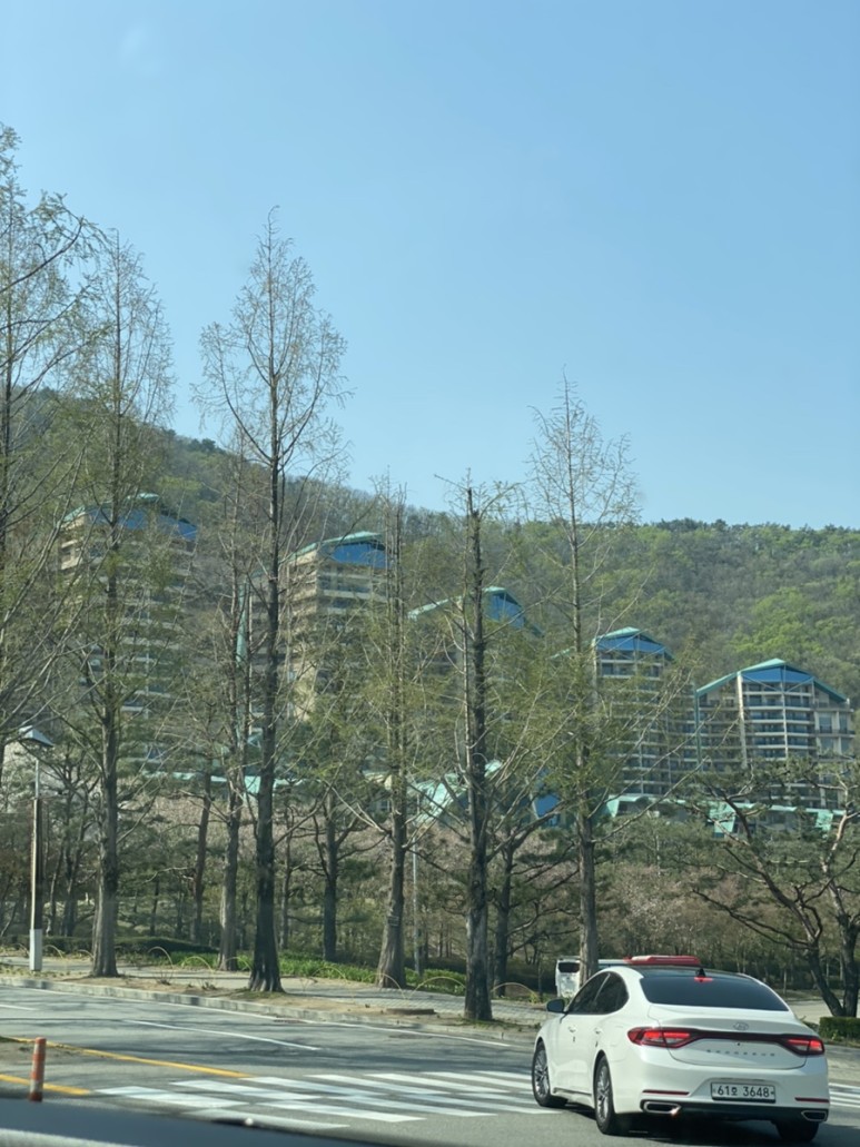 홍천 오션월드 [홍천] 소노펠리체 레지던스 비발디파크 로얄(60평) + 오션월드를 4