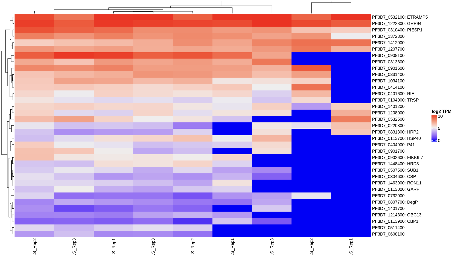  r r heatmap complexheatmap