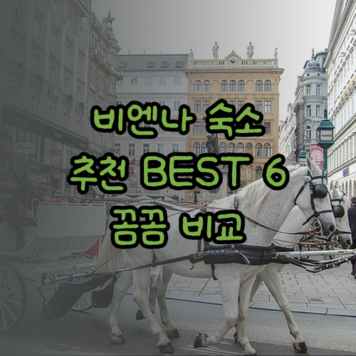비엔나 숙소 추천 베스트 6 꼼꼼 후