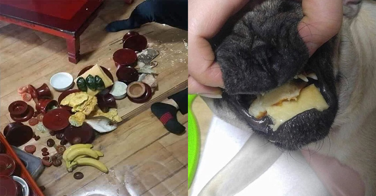  명절 제사 레전드.jpg