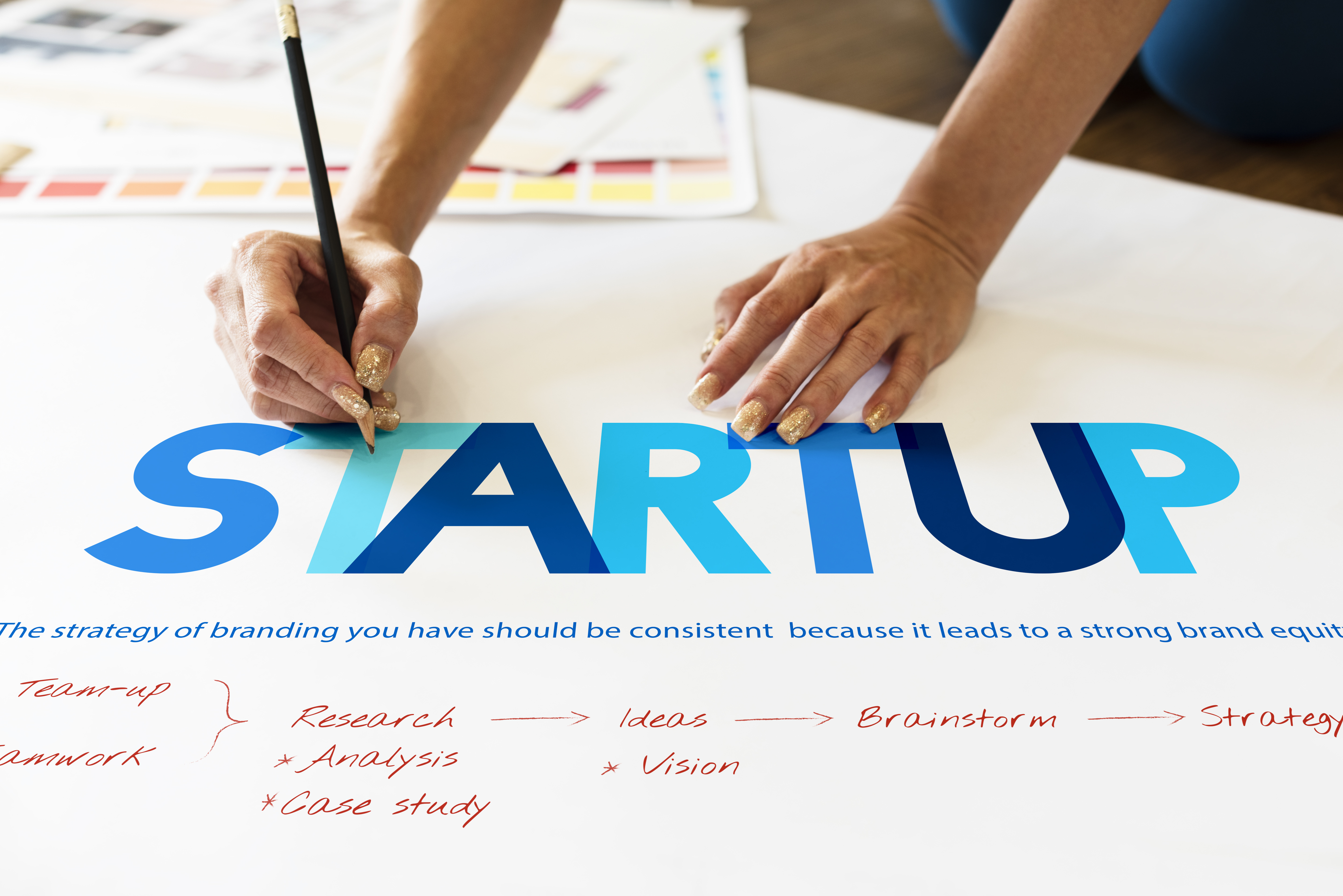 스타트업 (Start up) 기준