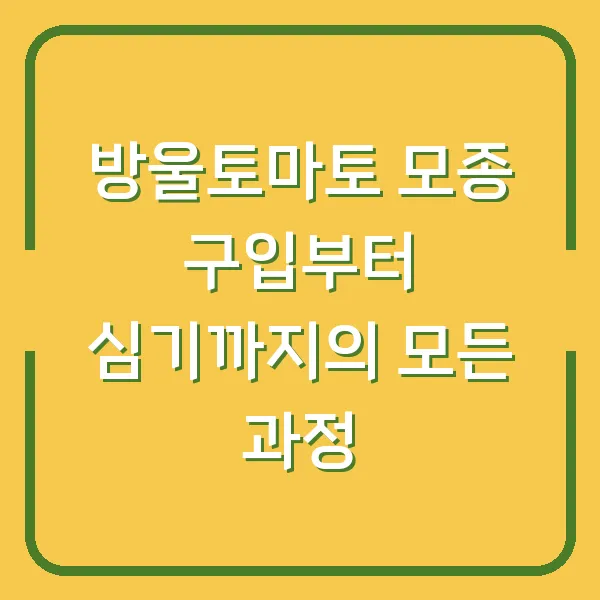 방울토마토 모종 구입부터 심기까지의 모든 과정