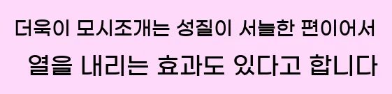  더욱이 모시조개는 성질이 서늘한 편이어서 열을 내리는 효과도 있다고 합니다